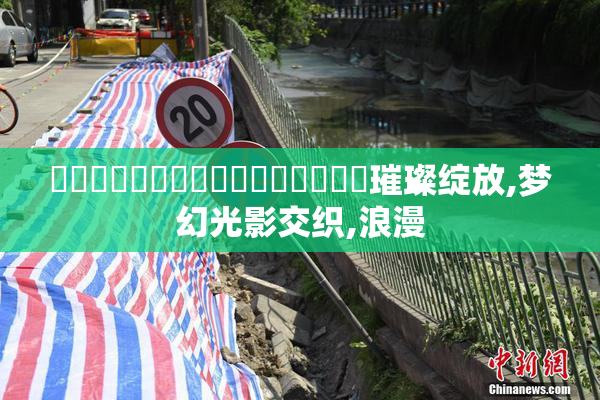 馃崋馃崋馃崙馃崙馃崙馃崒馃崒馃崒璀璨绽放,梦幻光影交织,浪漫
