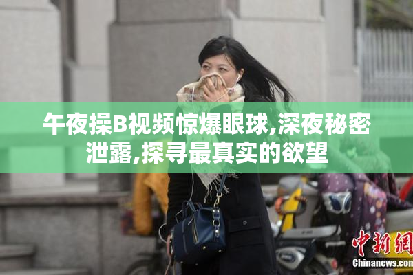 午夜操B视频惊爆眼球,深夜秘密泄露,探寻最真实的欲望