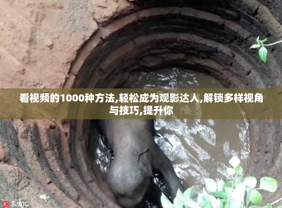 看视频的1000种方法,轻松成为观影达人,解锁多样视角与技巧,提升你