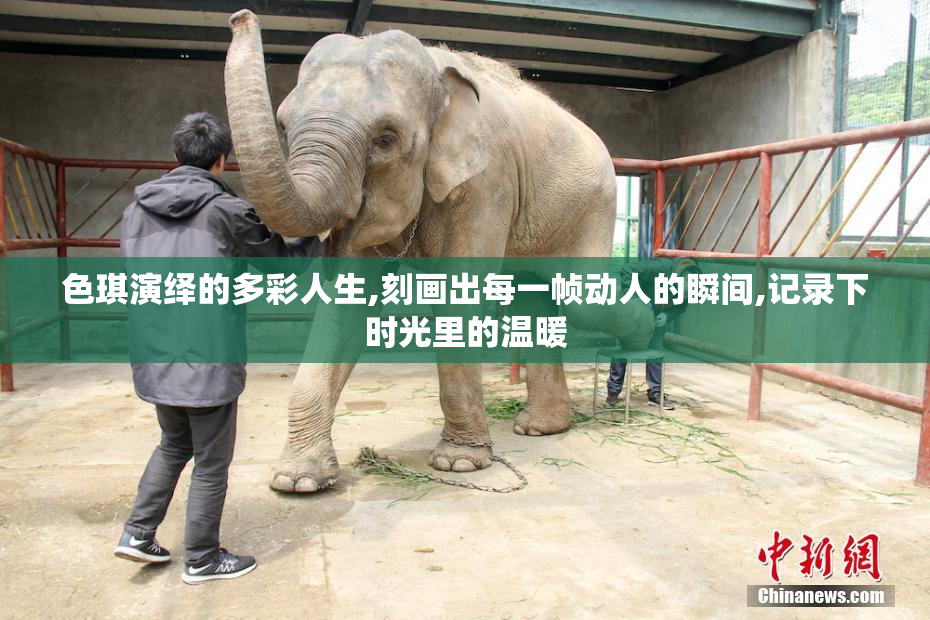 色琪演绎的多彩人生,刻画出每一帧动人的瞬间,记录下时光里的温暖