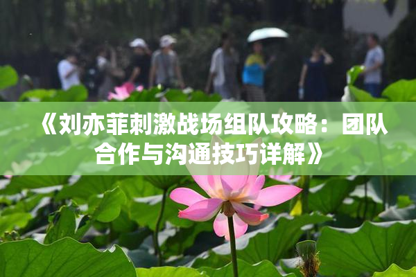《刘亦菲刺激战场组队攻略：团队合作与沟通技巧详解》