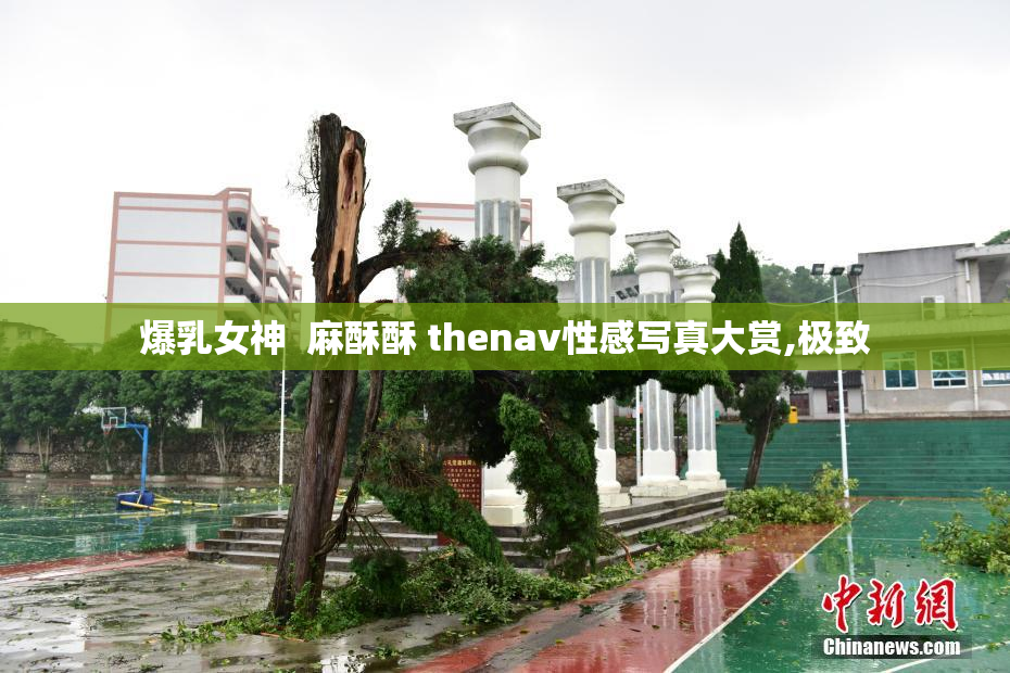 爆乳女神  麻酥酥 thenav性感写真大赏,极致