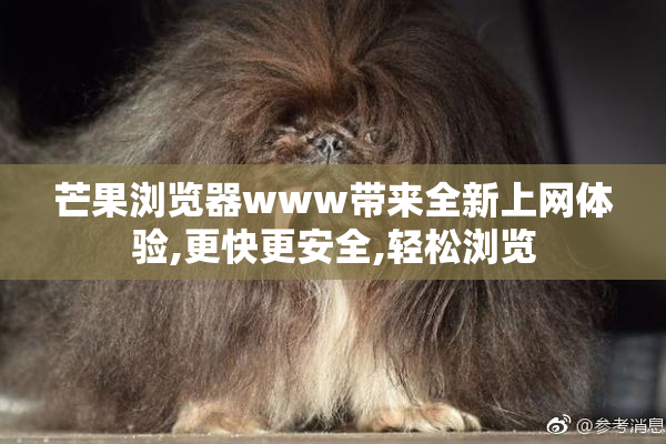 芒果浏览器www带来全新上网体验,更快更安全,轻松浏览
