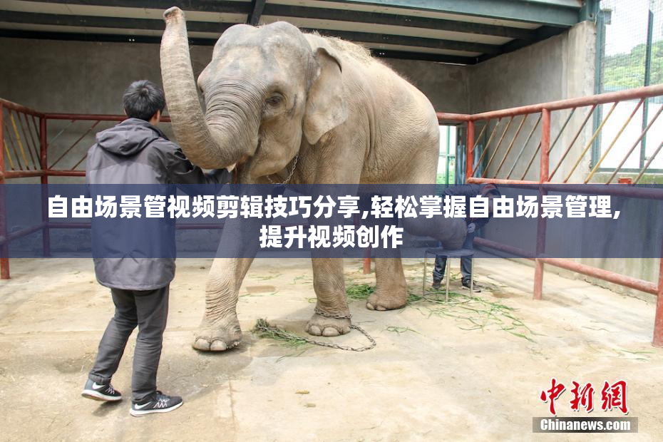 自由场景管视频剪辑技巧分享,轻松掌握自由场景管理,提升视频创作