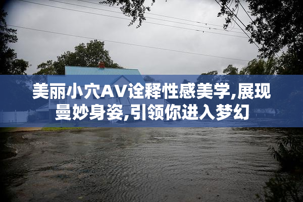 美丽小穴AV诠释性感美学,展现曼妙身姿,引领你进入梦幻