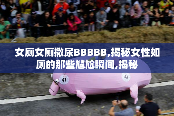 女厕女厕撒尿BBBBB,揭秘女性如厕的那些尴尬瞬间,揭秘