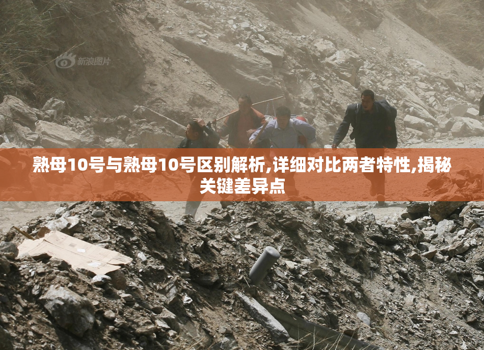 熟母10号与熟母10号区别解析,详细对比两者特性,揭秘关键差异点