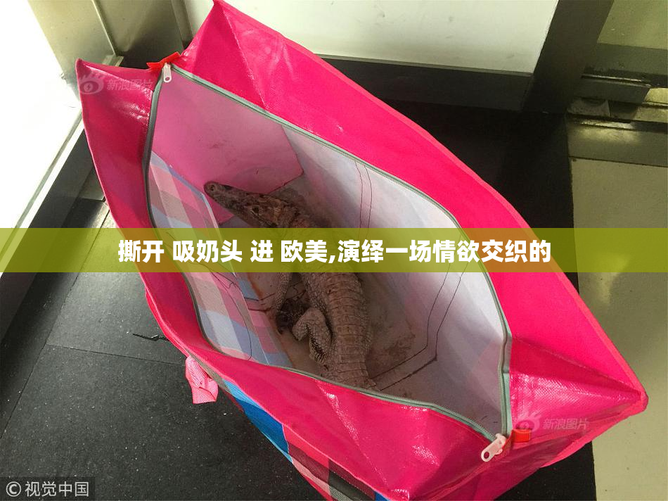 撕开 吸奶头 进 欧美,演绎一场情欲交织的