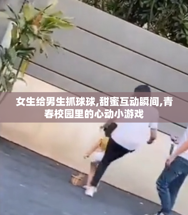 女生给男生抓球球,甜蜜互动瞬间,青春校园里的心动小游戏
