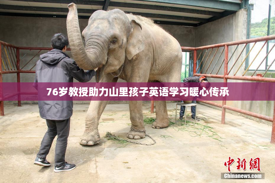 76岁教授助力山里孩子英语学习暖心传承