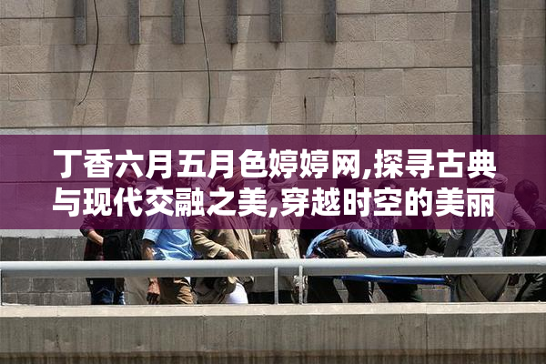 丁香六月五月色婷婷网,探寻古典与现代交融之美,穿越时空的美丽
