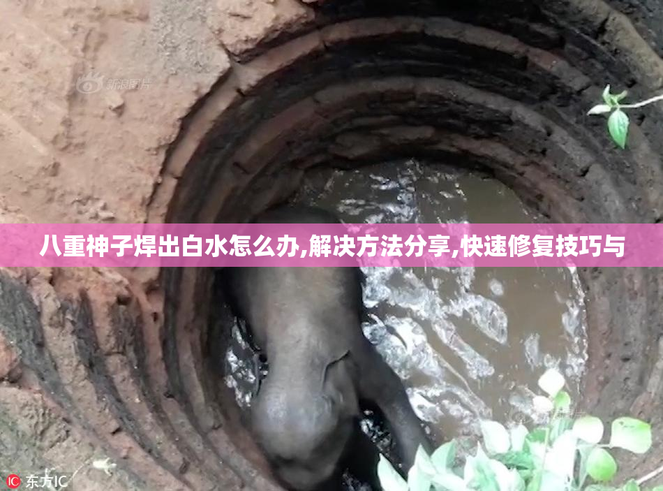 八重神子焊出白水怎么办,解决方法分享,快速修复技巧与