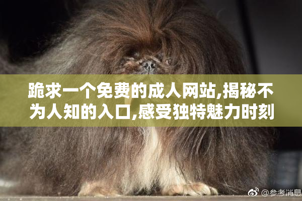 跪求一个免费的成人网站,揭秘不为人知的入口,感受独特魅力时刻