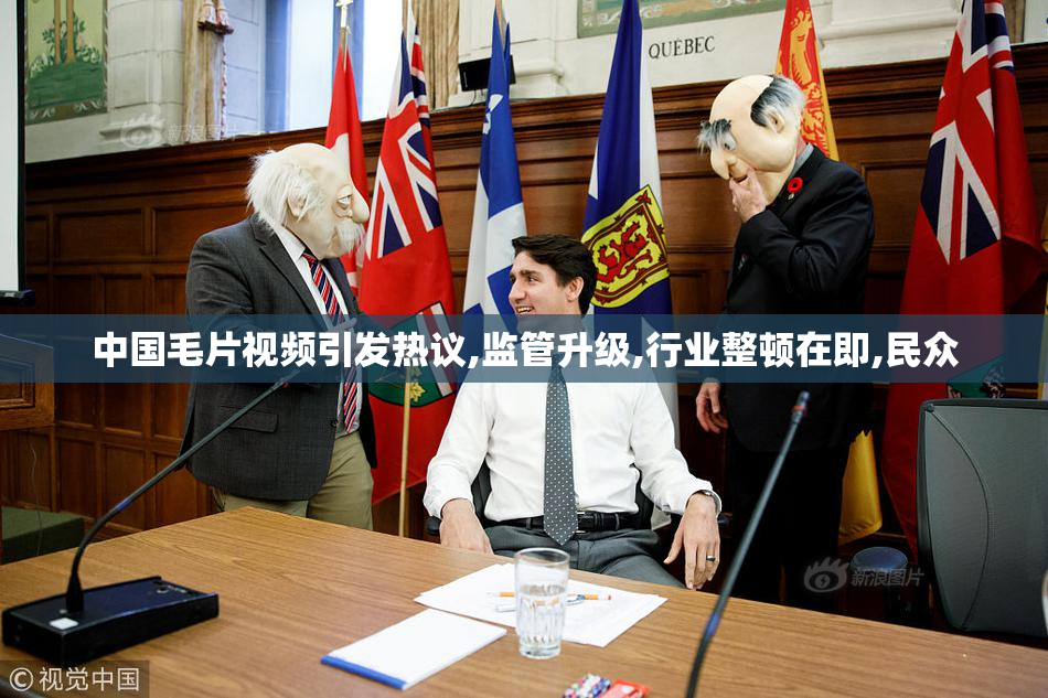 中国毛片视频引发热议,监管升级,行业整顿在即,民众