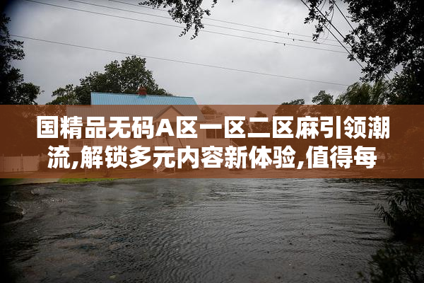 国精品无码A区一区二区麻引领潮流,解锁多元内容新体验,值得每