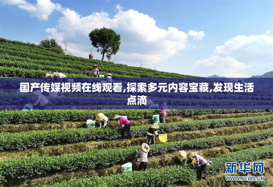 国产传媒视频在线观看,探索多元内容宝藏,发现生活点滴