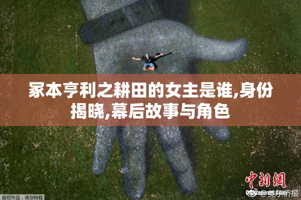 冢本亨利之耕田的女主是谁,身份揭晓,幕后故事与角色