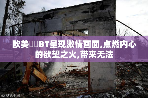 欧美肏屄BT呈现激情画面,点燃内心的欲望之火,带来无法