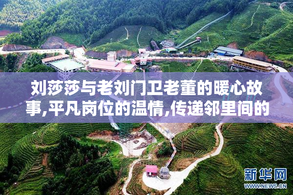 刘莎莎与老刘门卫老董的暖心故事,平凡岗位的温情,传递邻里间的