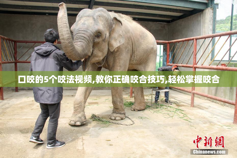 口咬的5个咬法视频,教你正确咬合技巧,轻松掌握咬合