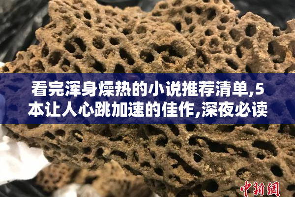 看完浑身燥热的小说推荐清单,5本让人心跳加速的佳作,深夜必读