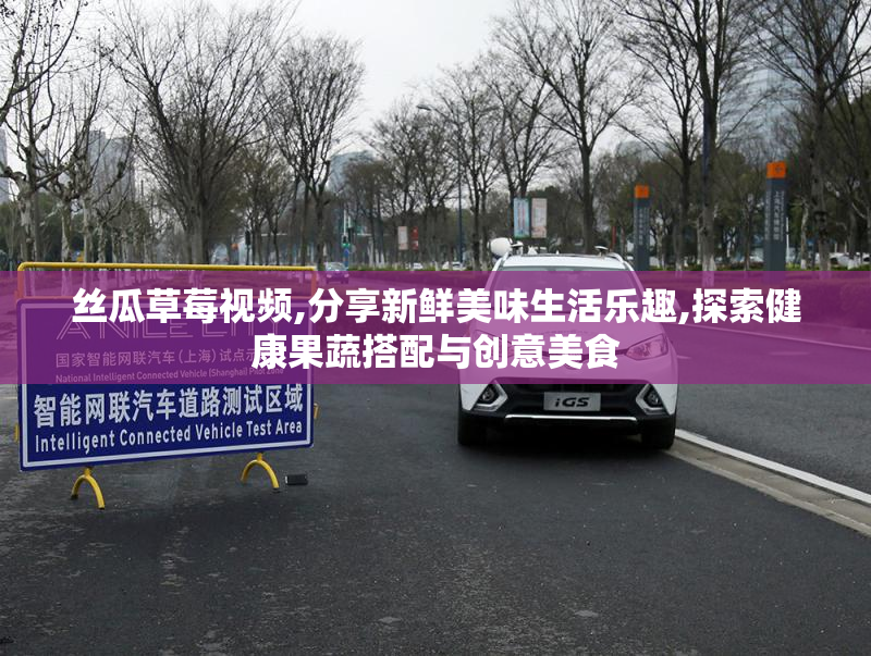 丝瓜草莓视频,分享新鲜美味生活乐趣,探索健康果蔬搭配与创意美食