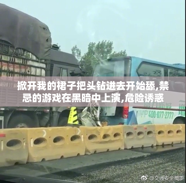 掀开我的裙子把头钻进去开始舔,禁忌的游戏在黑暗中上演,危险诱惑