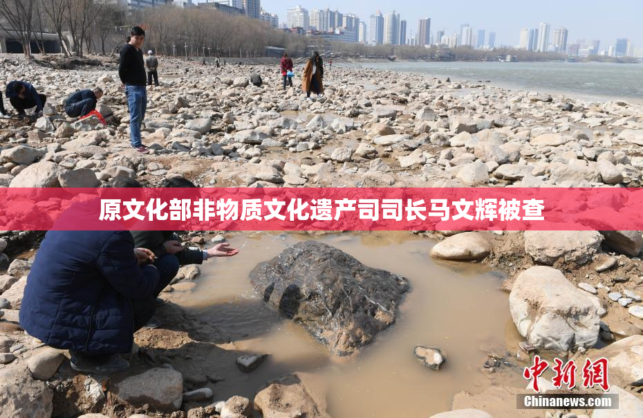 原文化部非物质文化遗产司司长马文辉被查