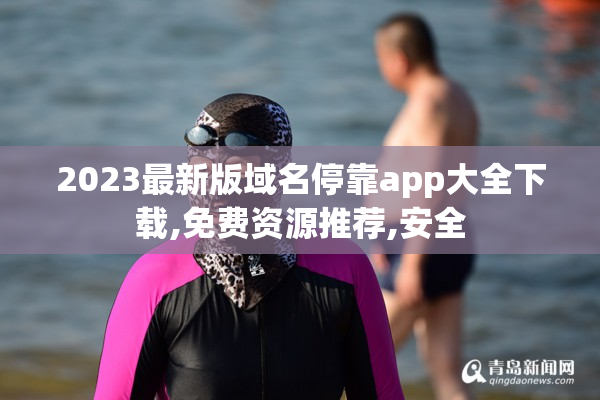 2023最新版域名停靠app大全下载,免费资源推荐,安全