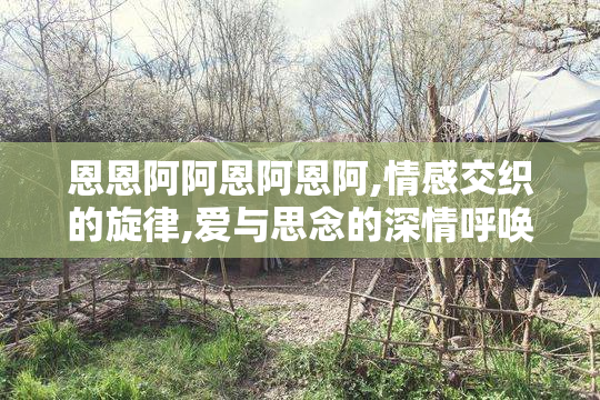 恩恩阿阿恩阿恩阿,情感交织的旋律,爱与思念的深情呼唤