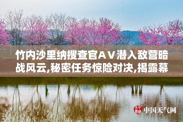 竹内沙里纳搜查官AⅤ潜入敌营暗战风云,秘密任务惊险对决,揭露幕后