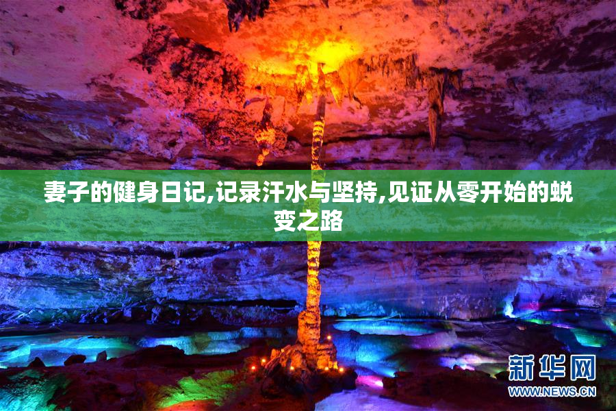 妻子的健身日记,记录汗水与坚持,见证从零开始的蜕变之路
