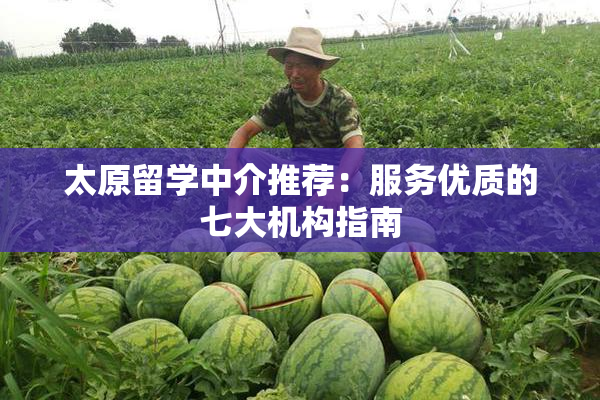 太原留学中介推荐：服务优质的七大机构指南