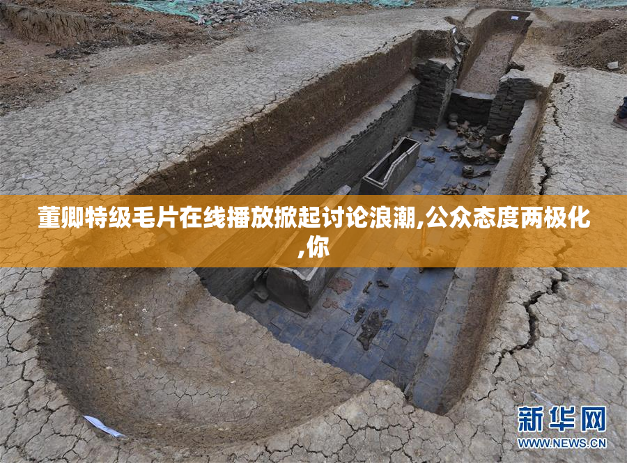 董卿特级毛片在线播放掀起讨论浪潮,公众态度两极化,你