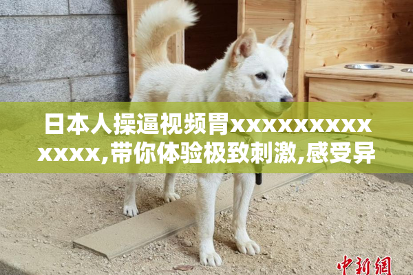 日本人操逼视频胃xxxxxxxxxxxxx,带你体验极致刺激,感受异国风情