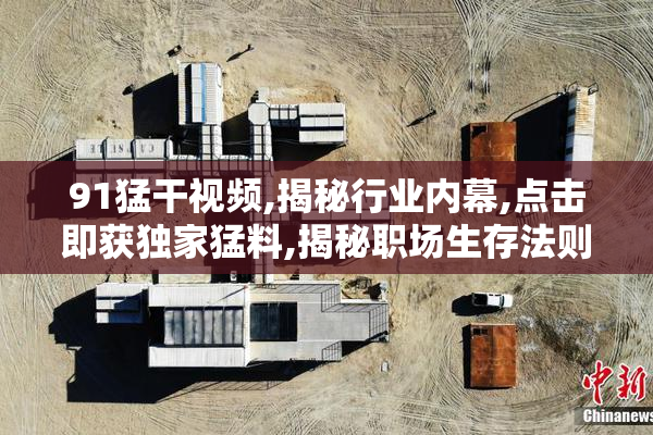 91猛干视频,揭秘行业内幕,点击即获独家猛料,揭秘职场生存法则,一