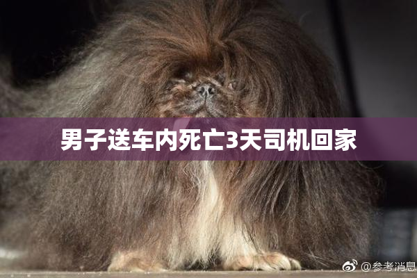 男子送车内死亡3天司机回家