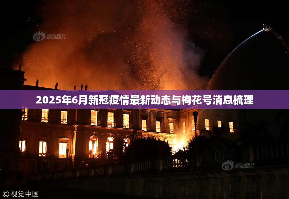 2025年6月新冠疫情最新动态与梅花号消息梳理