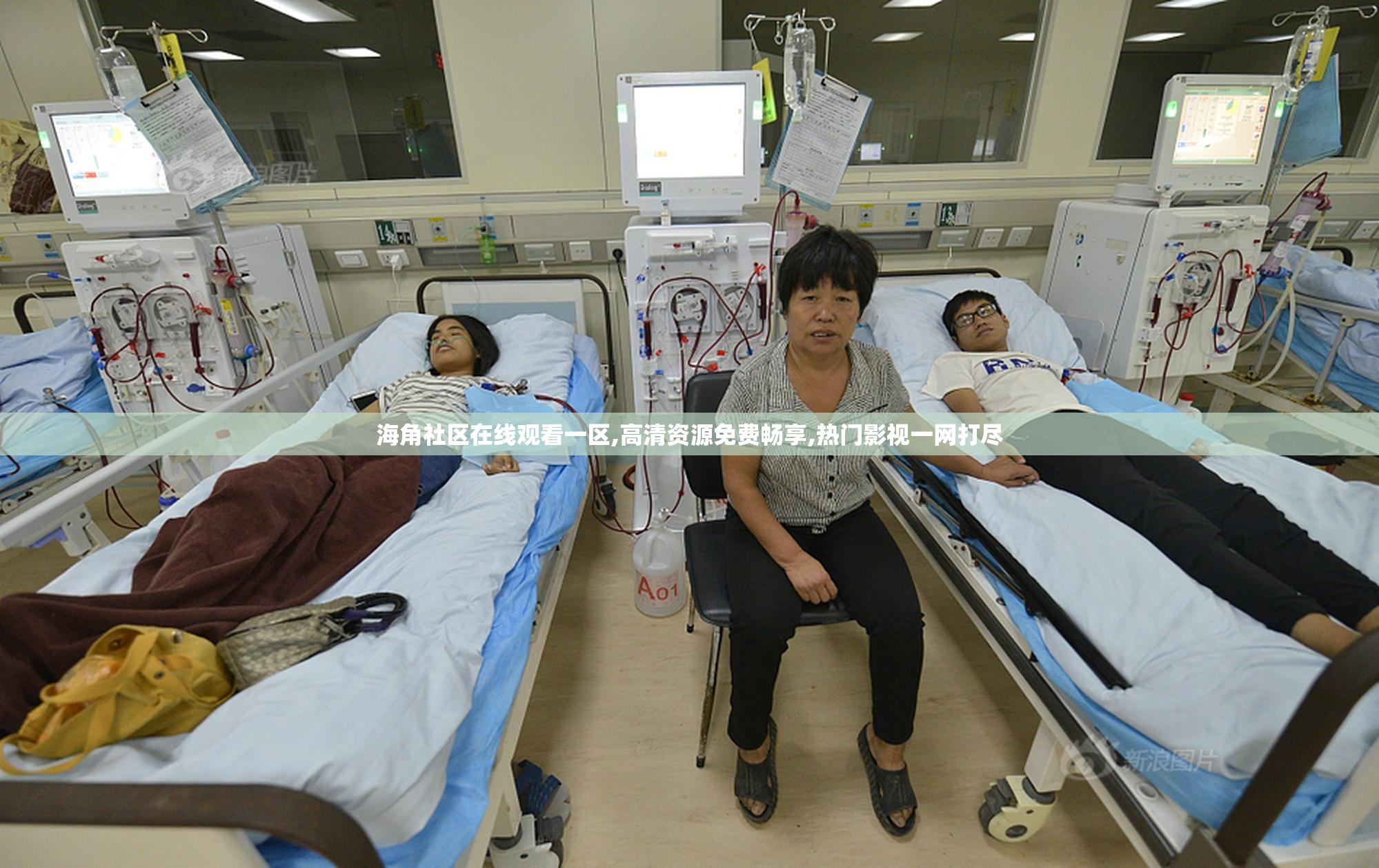 海角社区在线观看一区,高清资源免费畅享,热门影视一网打尽