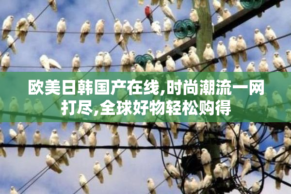 欧美日韩国产在线,时尚潮流一网打尽,全球好物轻松购得
