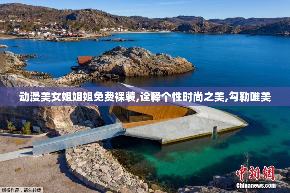 动漫美女姐姐姐免费裸装,诠释个性时尚之美,勾勒唯美