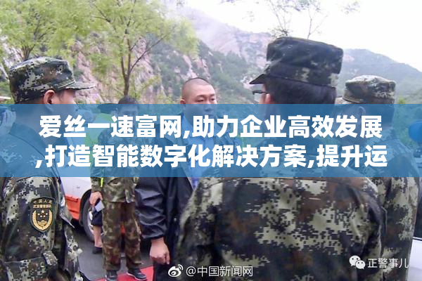 爱丝一速富网,助力企业高效发展,打造智能数字化解决方案,提升运营