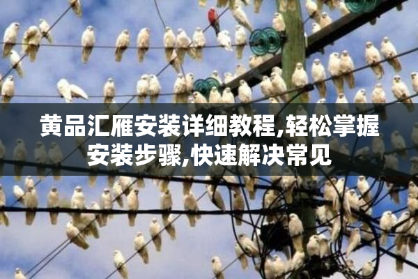 黄品汇雁安装详细教程,轻松掌握安装步骤,快速解决常见