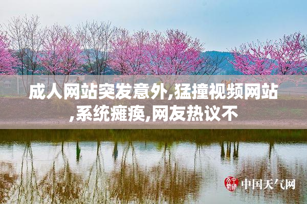 成人网站突发意外,猛撞视频网站,系统瘫痪,网友热议不