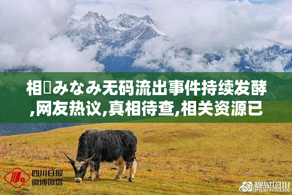 相沢みなみ无码流出事件持续发酵,网友热议,真相待查,相关资源已被