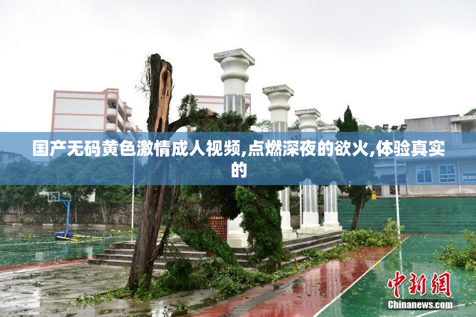 国产无码黄色激情成人视频,点燃深夜的欲火,体验真实的