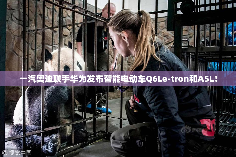 一汽奥迪联手华为发布智能电动车Q6Le-tron和A5L！