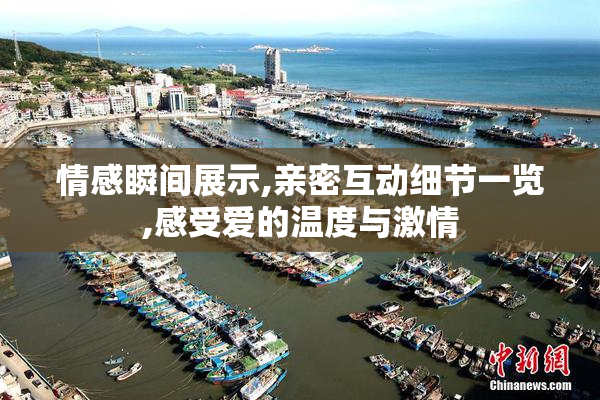 情感瞬间展示,亲密互动细节一览,感受爱的温度与激情