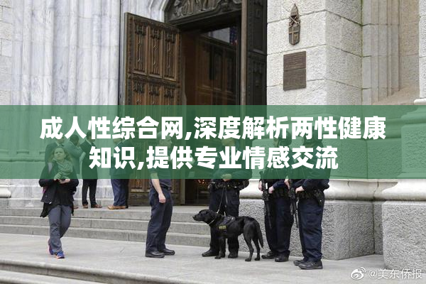 成人性综合网,深度解析两性健康知识,提供专业情感交流