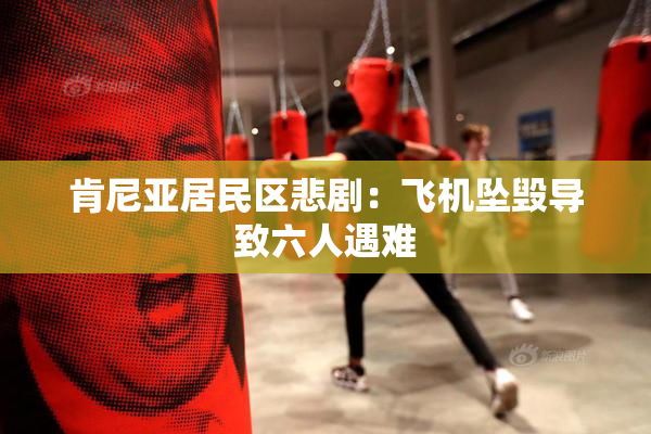 肯尼亚居民区悲剧：飞机坠毁导致六人遇难
